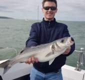 bass-3