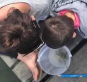 crab-in-bucket